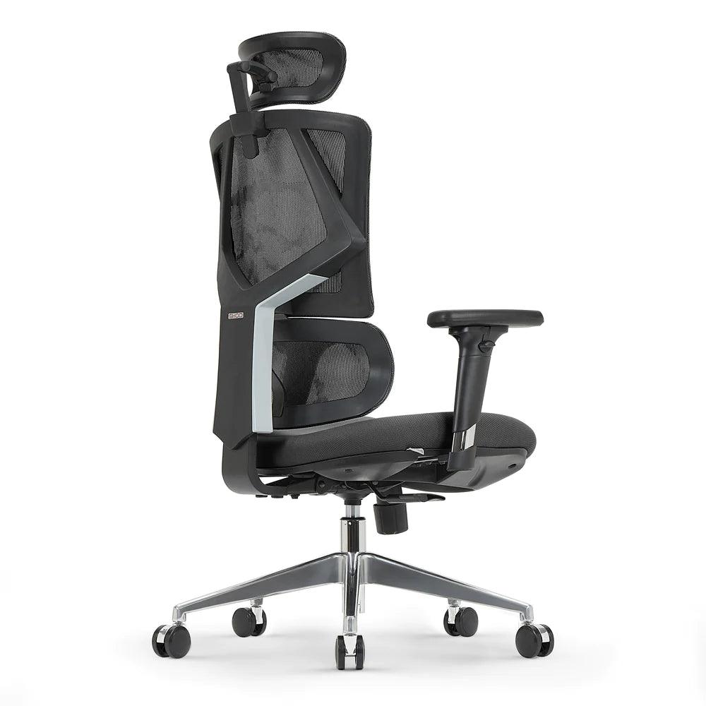 Sihoo M90D Ergonomic Chair with Adaptive Lumbar Support