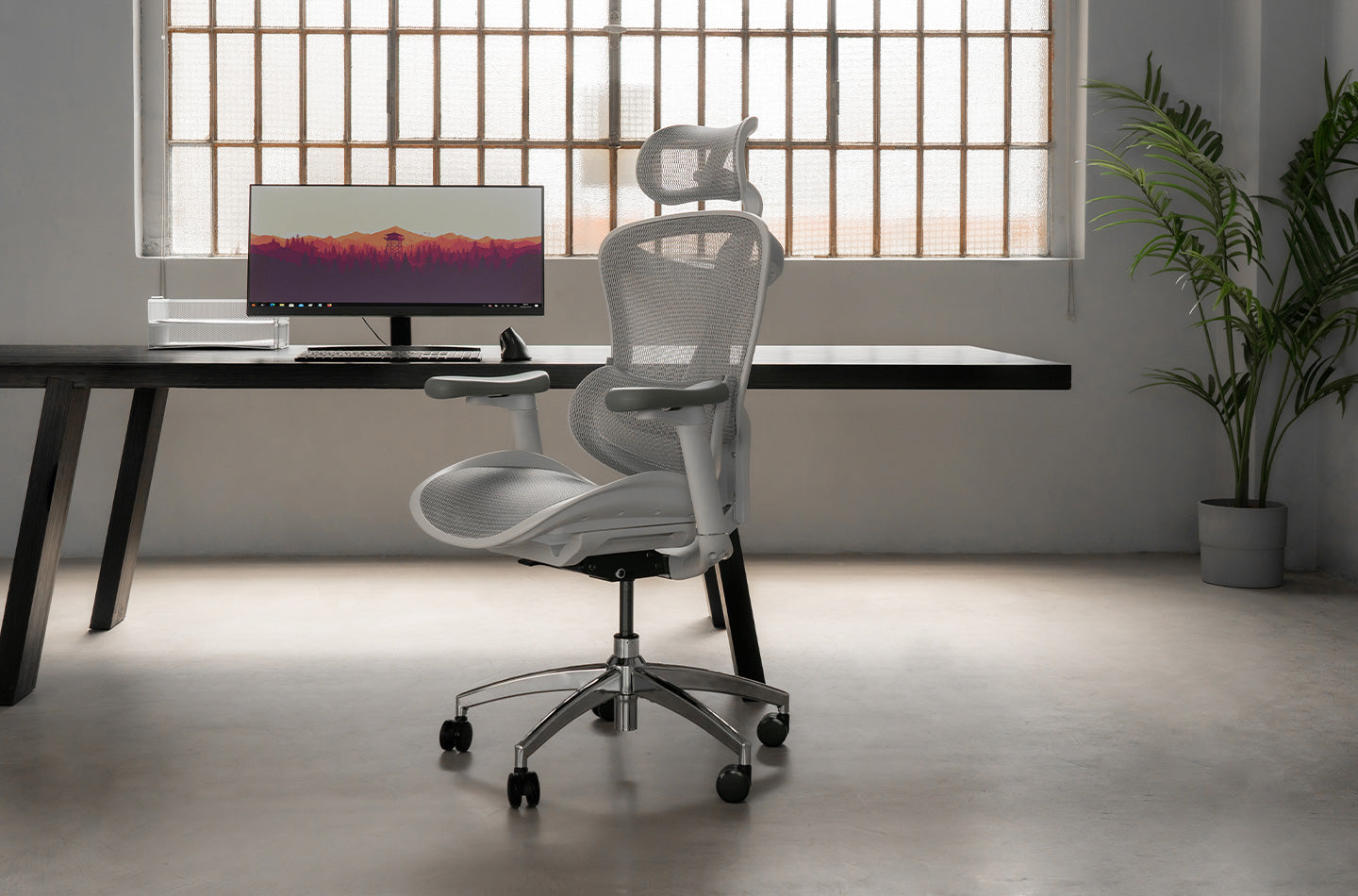 SIHOO Doro-C300 Chair