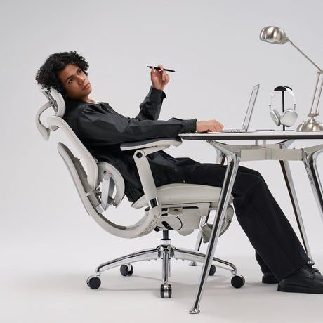 Sihoo Doro C300 Pro V2 Ergonomic Office Chair