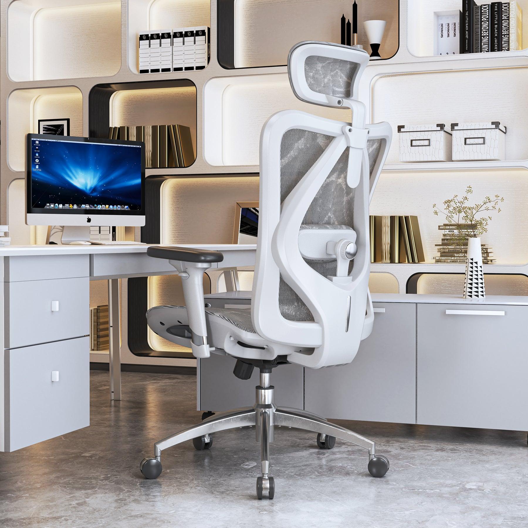 Sihoo M57 Ergonomic Chair - Options Dot PH