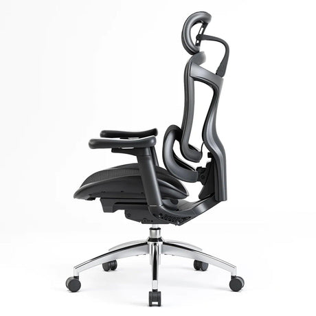 Sihoo Doro C300 Ergonomic Office Chair - Official US Sihoo Store