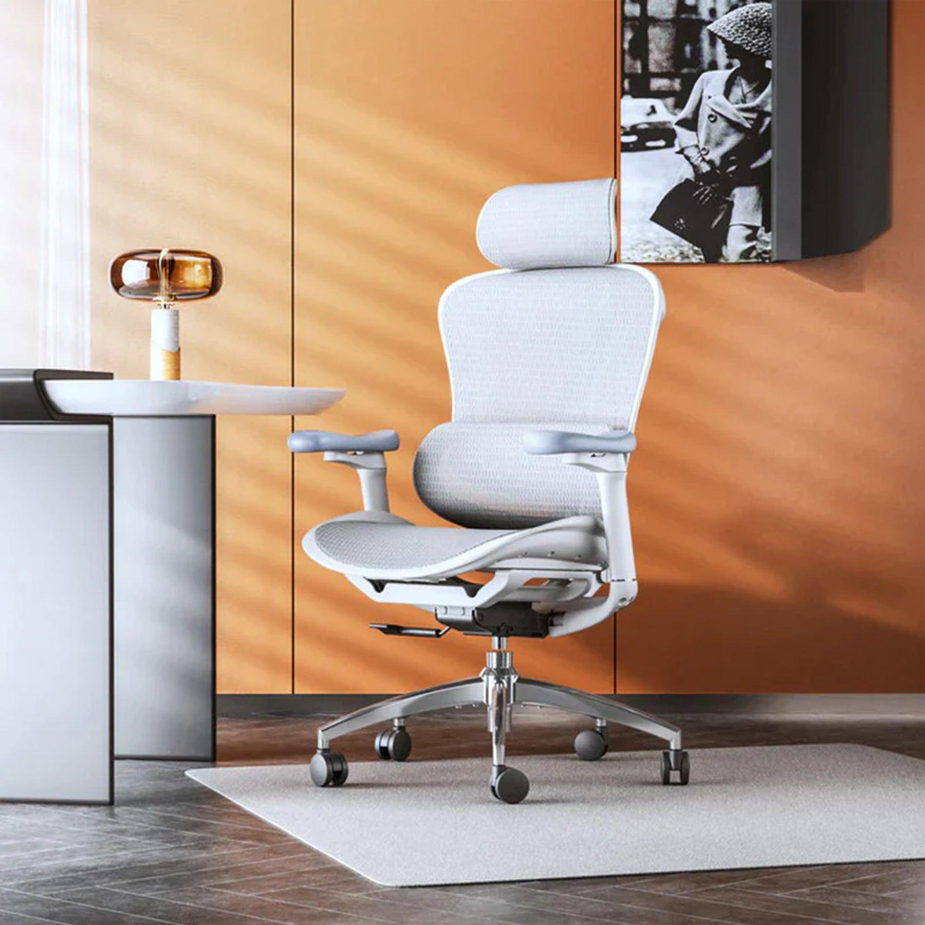 Sihoo Doro C300 Ergonomic Office Chair