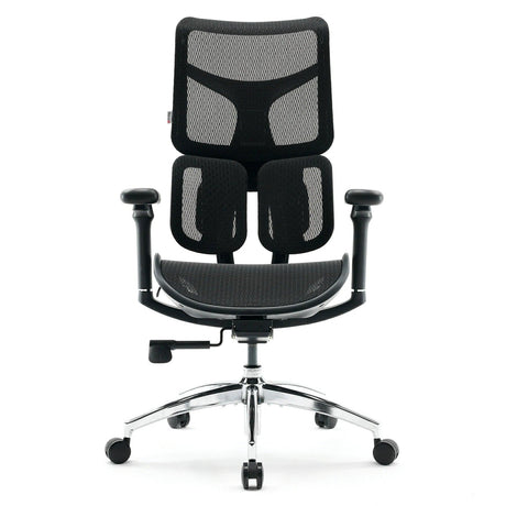 Sihoo Doro S100 Ergonomic Office Chair with Dual Dynamic Lumbar Support - Official US Sihoo Store