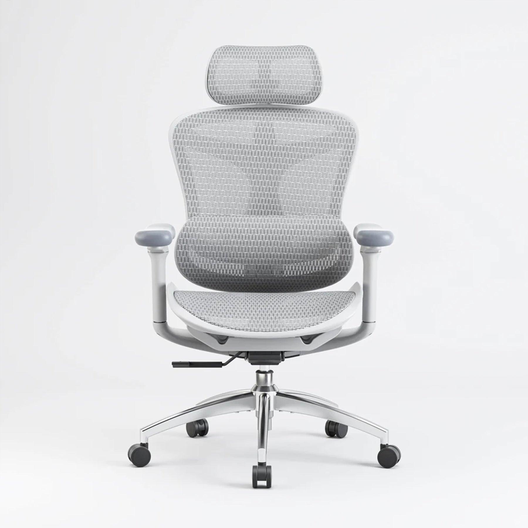 Sihoo M57 vs Sihoo Doro C300 Ergonomic Chair: Why Doro C300 is the Better  Choice