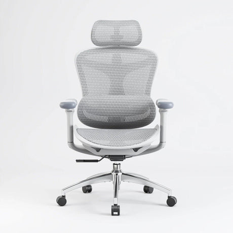 Sihoo Doro C300 Ergonomic Office Chair - Official US Sihoo Store