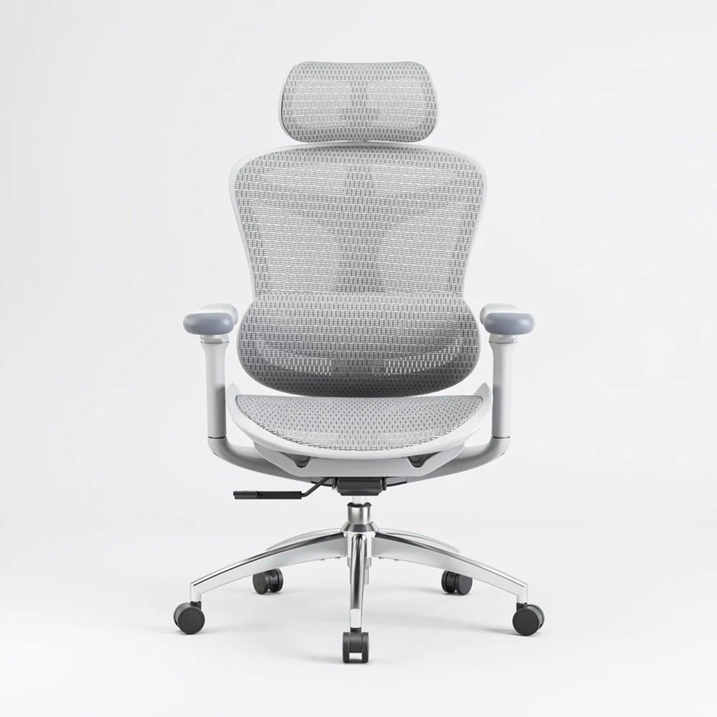 Sihoo Doro C300 Ergonomic Office Chair - Official US Sihoo Store