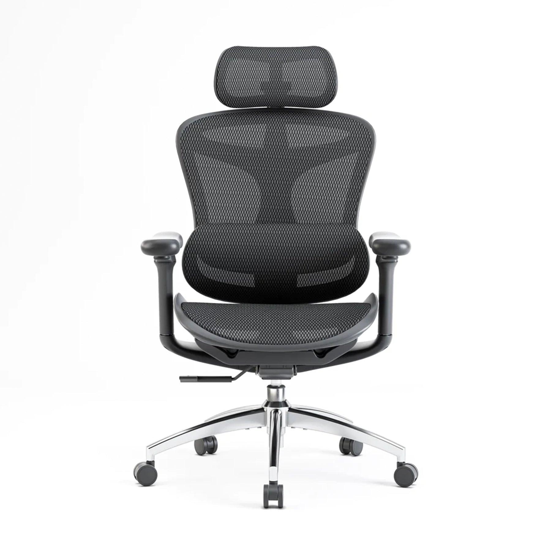 Sihoo C300 Ergonomic Office Chair with Advanced Back Support - Black / Standard Version