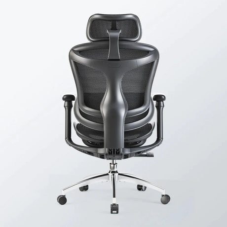 Sihoo Doro C300 Ergonomic Office Chair - Official US Sihoo Store