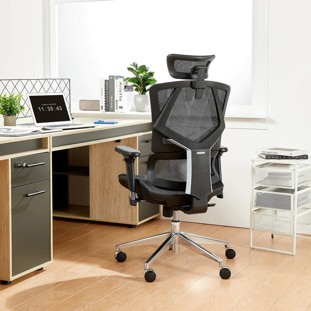 Sihoo M90C High-End Office Chair with Adaptive Lumbar Support for Different Postures