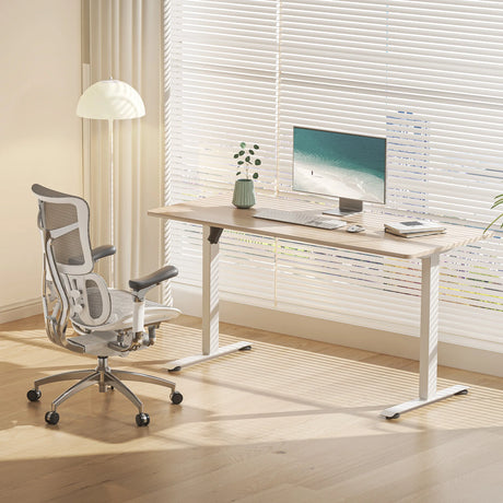 D03 Electric Height Adjustable Standing Desk