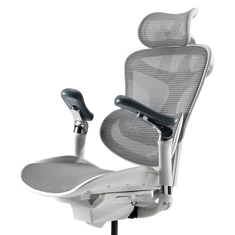 Sihoo Doro C300 Pro Ergonomic Chair - Official US Sihoo Store