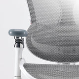 Sihoo Doro C300 Pro Ergonomic Chair - Official US Sihoo Store