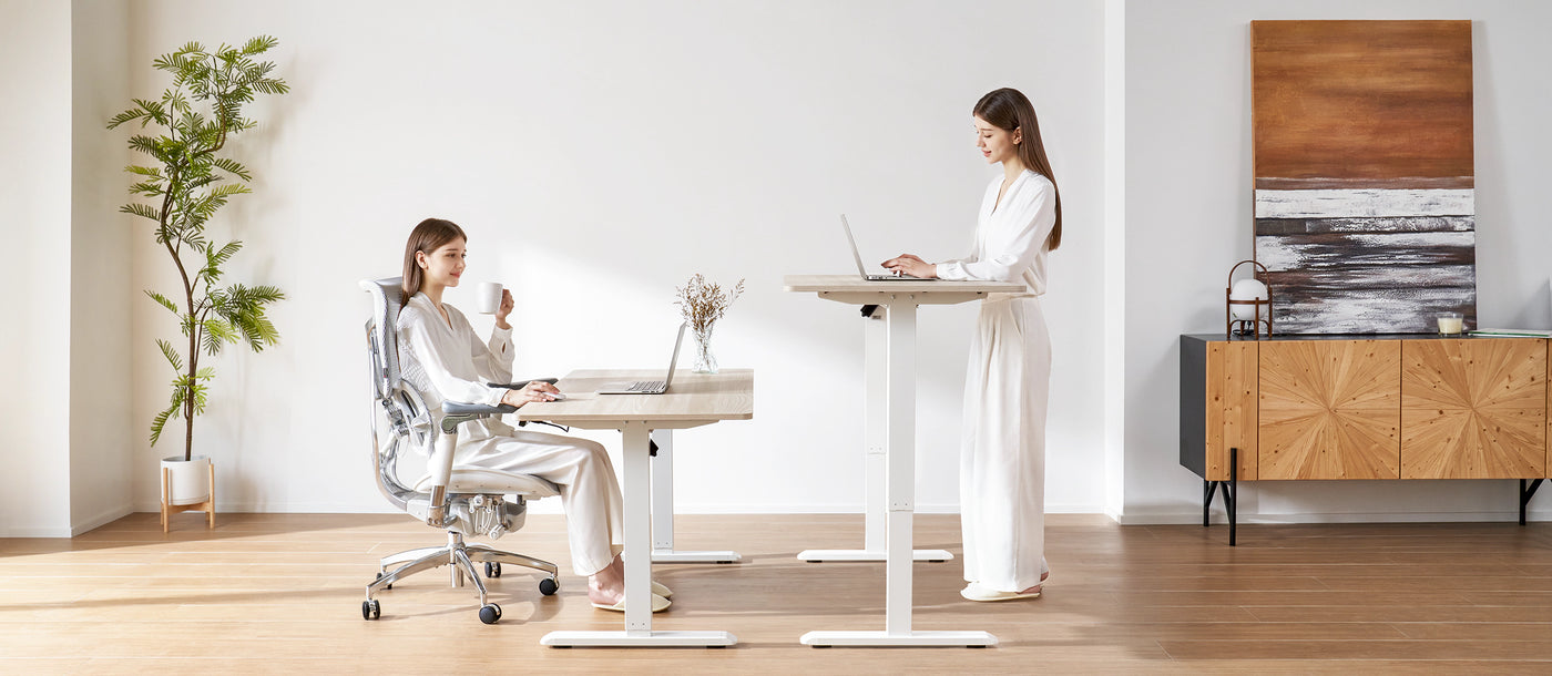 Sihoo D03 Height-Adjustable Standing Desk