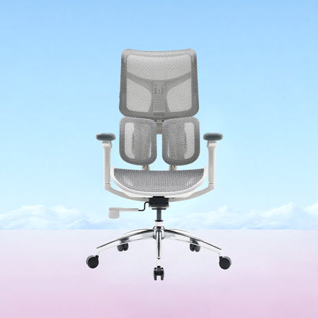 Doro S100 Ergonomic Office Chair with Dual Dynamic Lumbar Support