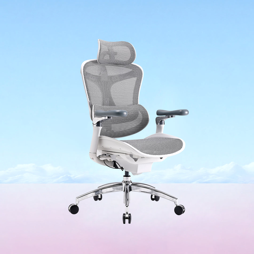 Doro C300 Pro Ergonomic Chair
