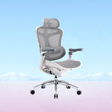 Doro C300 Pro Ergonomic Chair