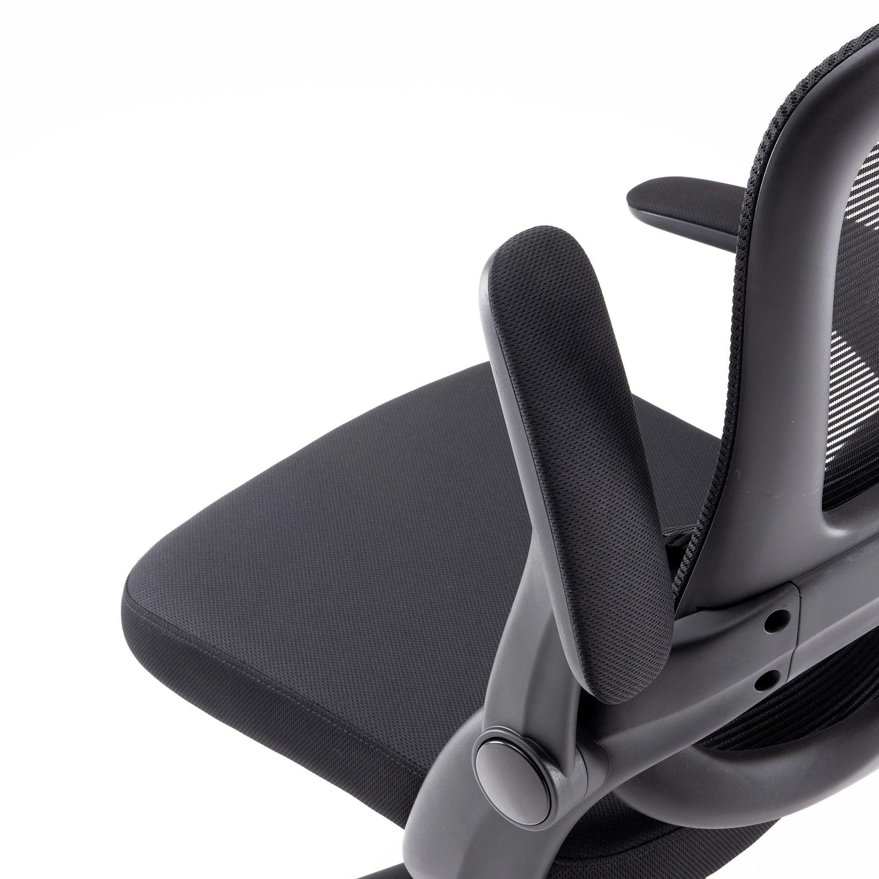 Sihoo M102C Ergonomic Office Chair with Customizable Lumbar Support