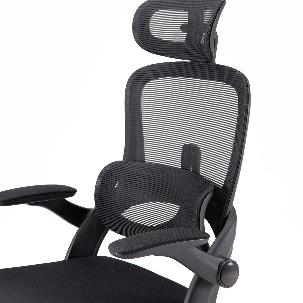 Sihoo M102C Ergonomic Office Chair with Customizable Lumbar Support - Official US Sihoo Store