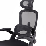 Sihoo M102C Ergonomic Office Chair with Customizable Lumbar Support - Official US Sihoo Store