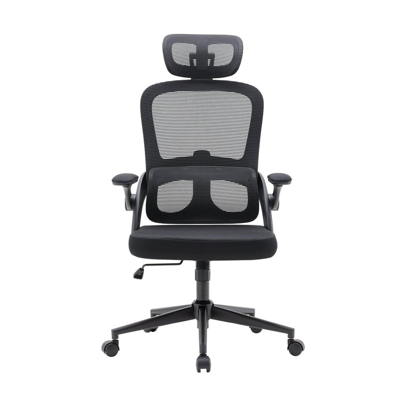 Sihoo M102C Ergonomic Office Chair with Customizable Lumbar Support