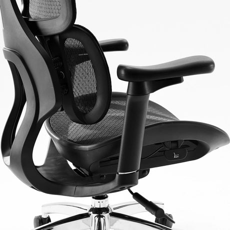 Sihoo Doro S100 Ergonomic Office Chair with Dual Dynamic Lumbar Support - Official US Sihoo Store