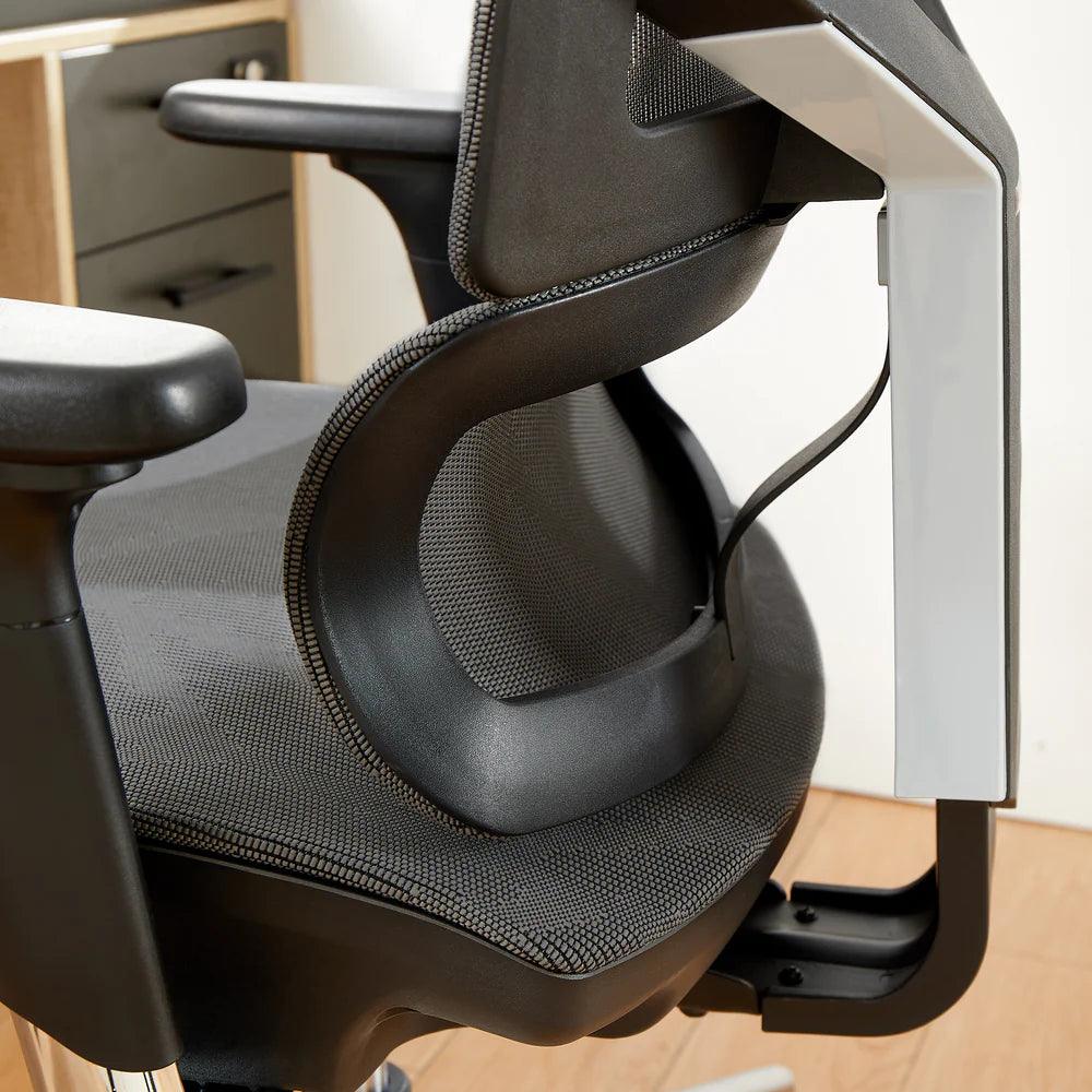 SIHOO Ergonomic Chair with Adjustable Lumbar Support, Wide Thick