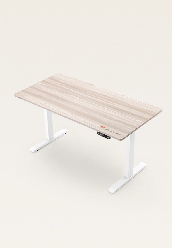 D03 Spacious one-piece desktop