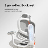 Sihoo Doro C300 Pro V2 Ergonomic Office Chair