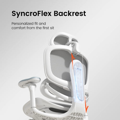Sihoo Doro C300 Pro V2 Ergonomic Office Chair