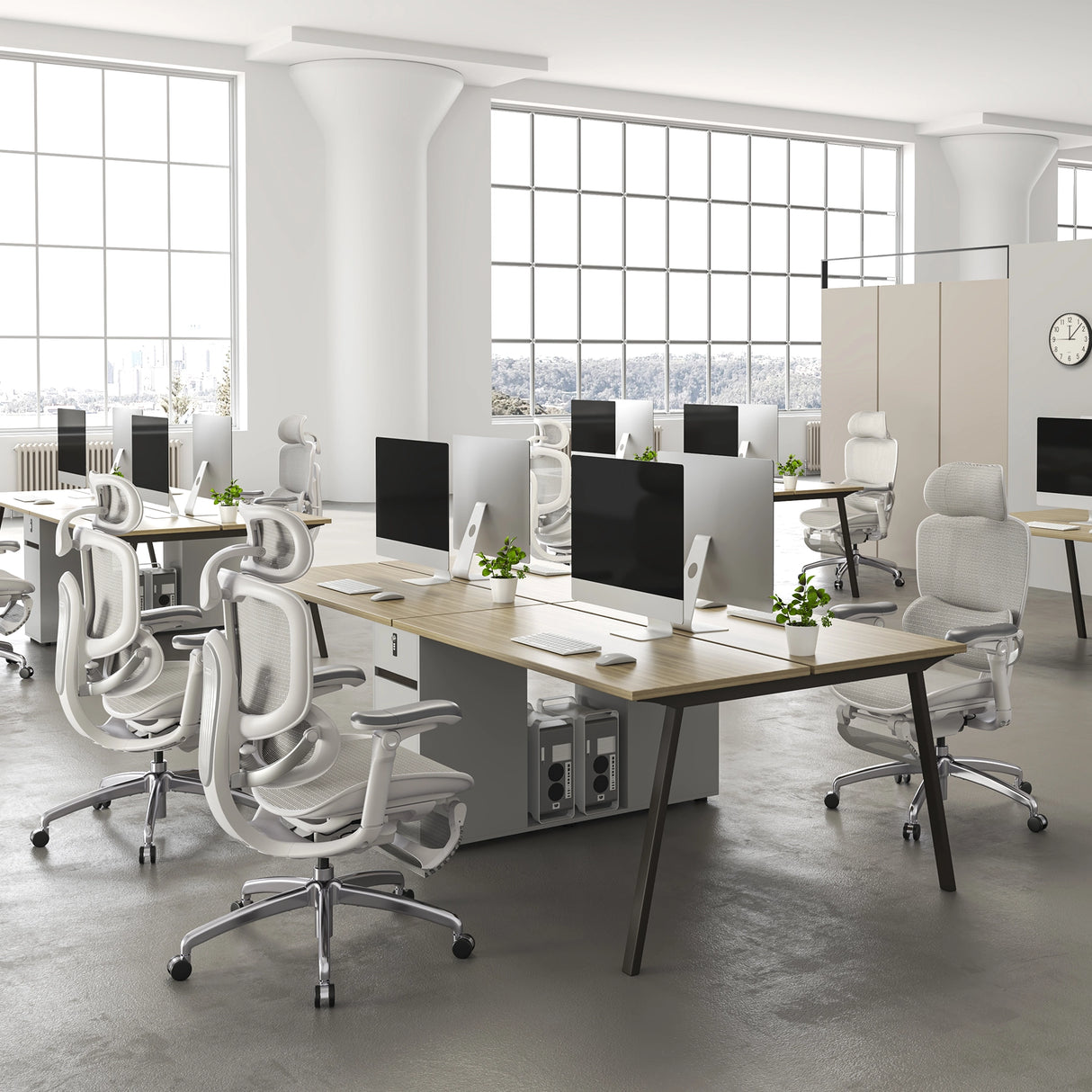 Sihoo Doro C300 Pro V2 Ergonomic Office Chair