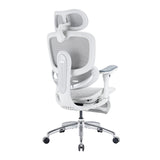 Sihoo Doro C300 Pro V2 Ergonomic Office Chair