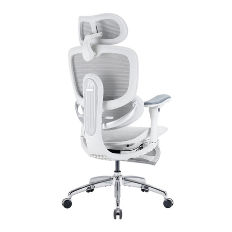 Sihoo Doro C300 Pro V2 Ergonomic Office Chair