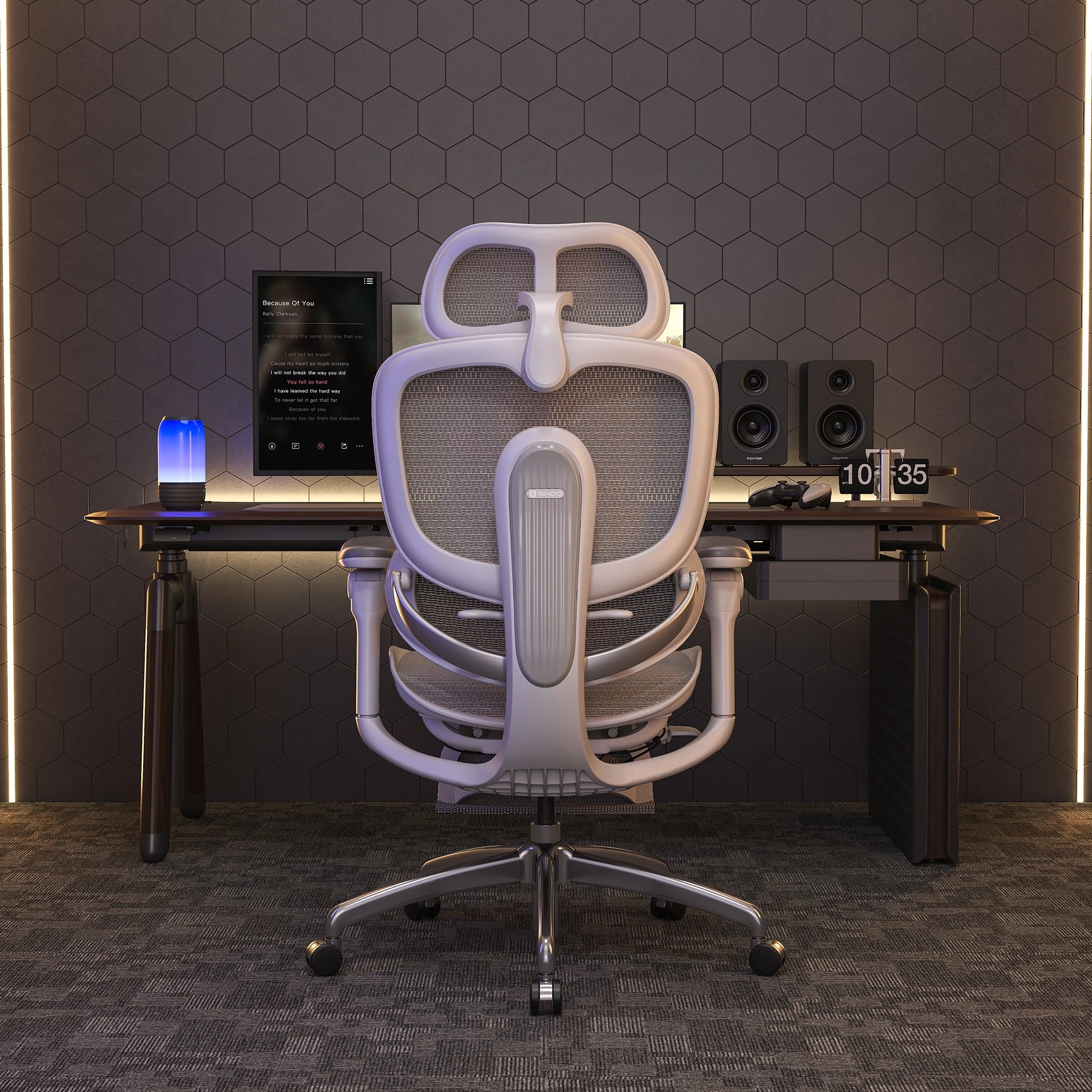 Sihoo Doro C300 Pro V2 Ergonomic Office Chair