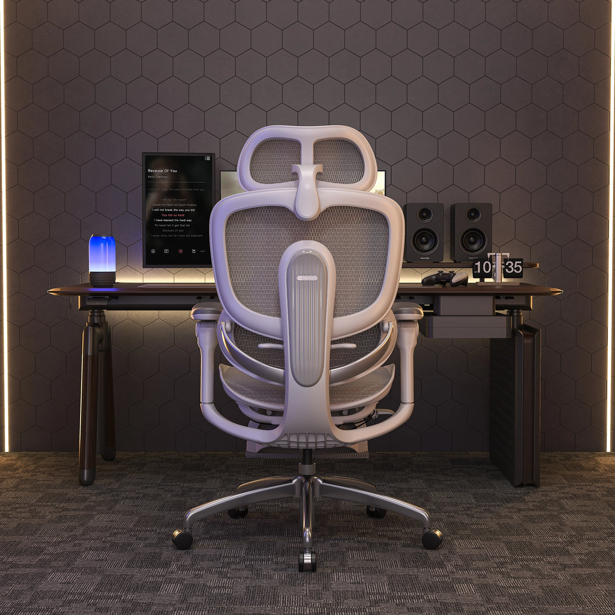 Sihoo Doro C300 Pro V2 Ergonomic Office Chair