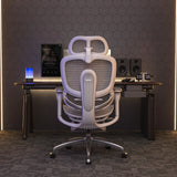 Sihoo Doro C300 Pro V2 Ergonomic Office Chair