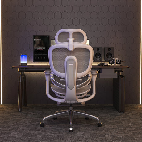 Sihoo Doro C300 Pro V2 Ergonomic Office Chair