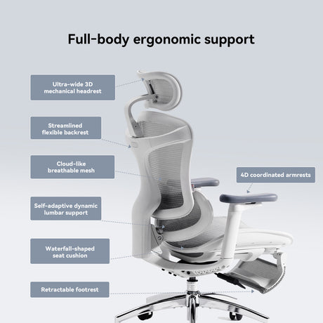 Sihoo C300 Ergonomic Office Chair - Footrest Version