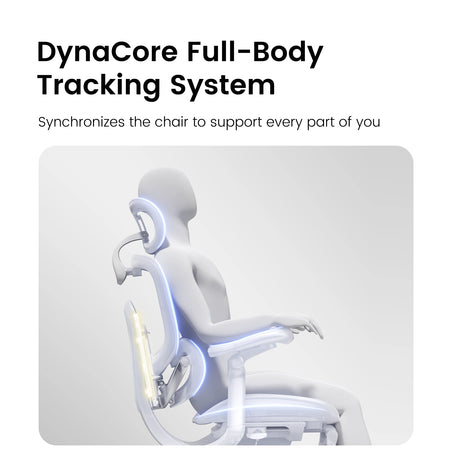 Sihoo Doro C300 Pro V2 Ergonomic Office Chair