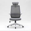 Sihoo M76A Ergonomic Office Chair with Headrest