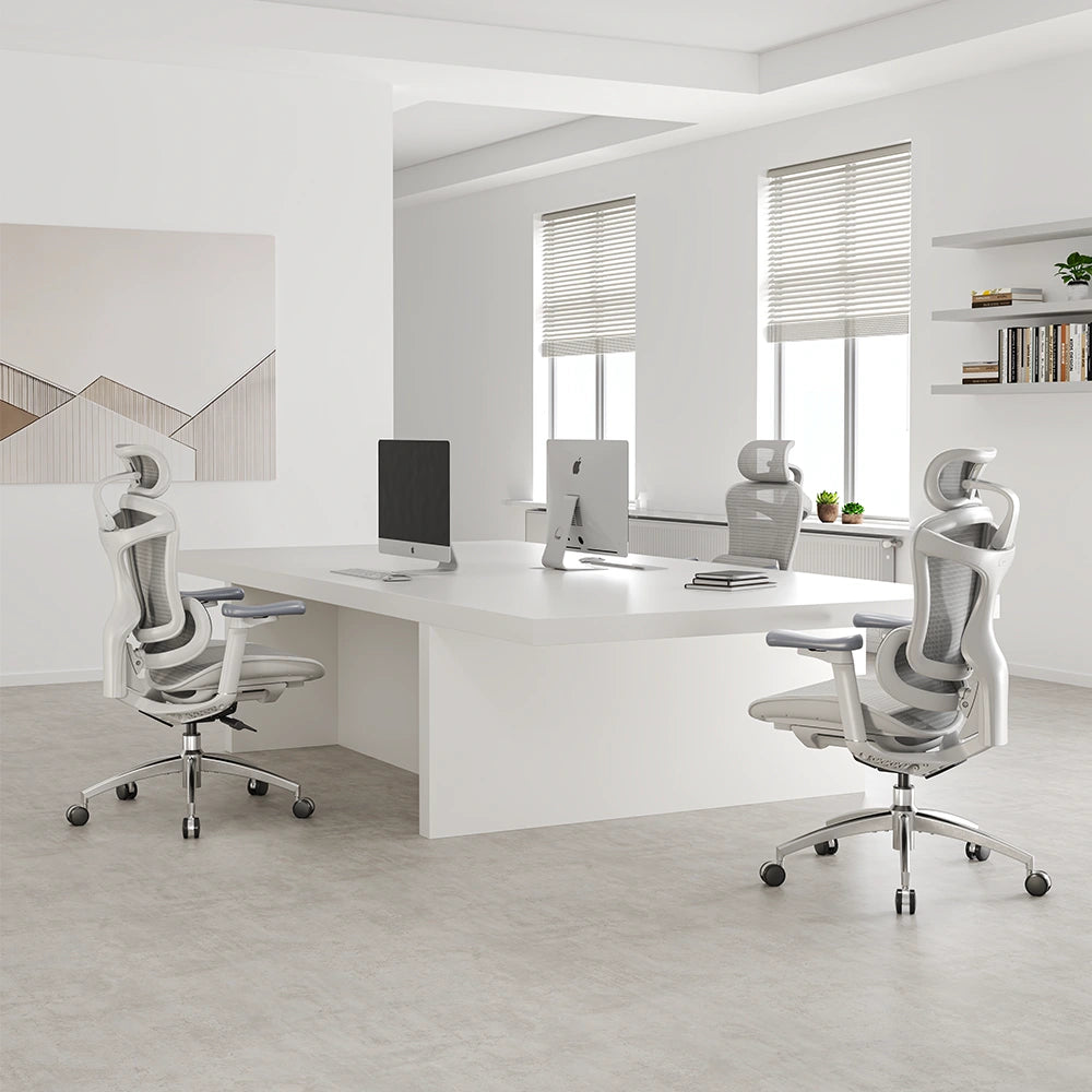 Sihoo C300 Ergonomic Office Chair with Advanced Back Support