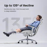 Sihoo Doro C300 Pro V2 Ergonomic Office Chair