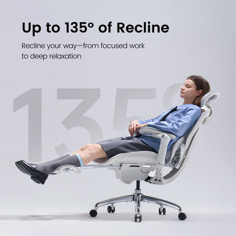 Sihoo Doro C300 Pro V2 Ergonomic Office Chair