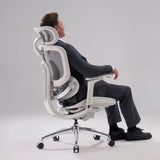 Sihoo Doro C300 Pro V2 Ergonomic Office Chair
