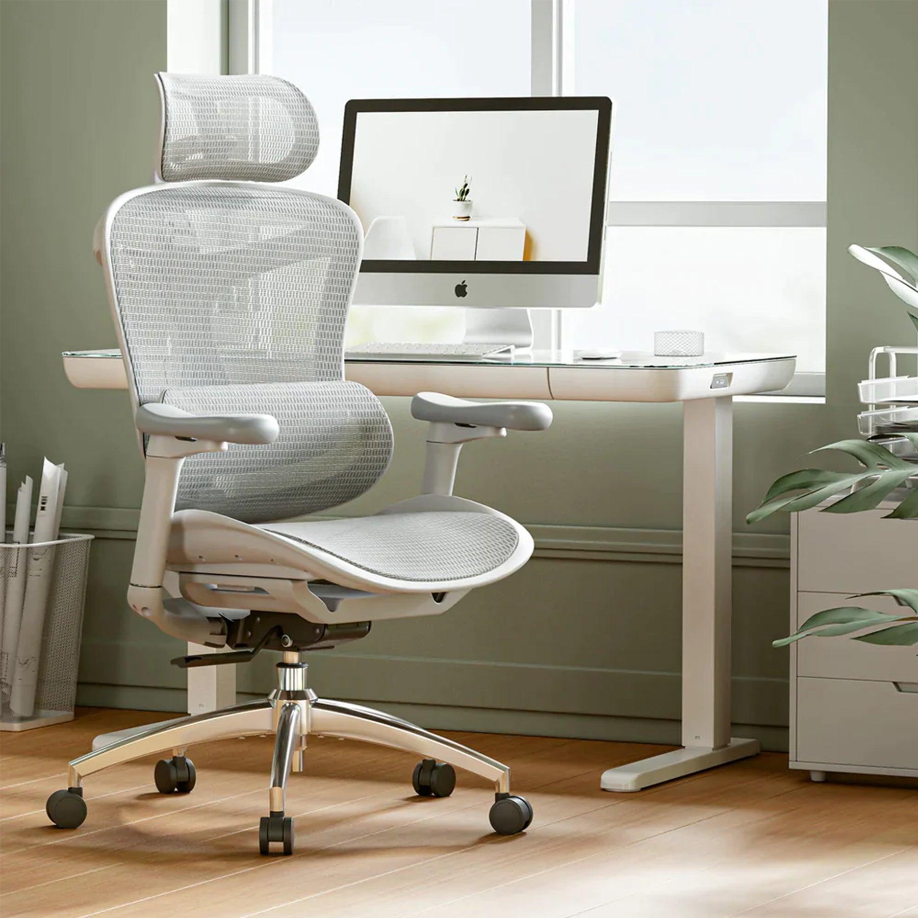 Sihoo Doro C300 Ergonomic Office Chair