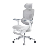 Sihoo Doro C300 Pro V2 Ergonomic Office Chair