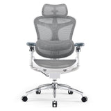 Sihoo Doro C300 Pro Ergonomic Chair - Official US Sihoo Store