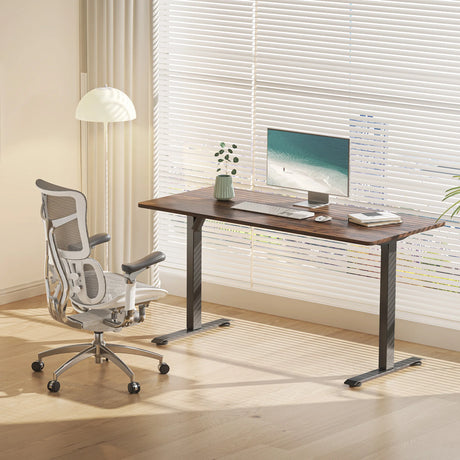 D03 Electric Height Adjustable Standing Desk