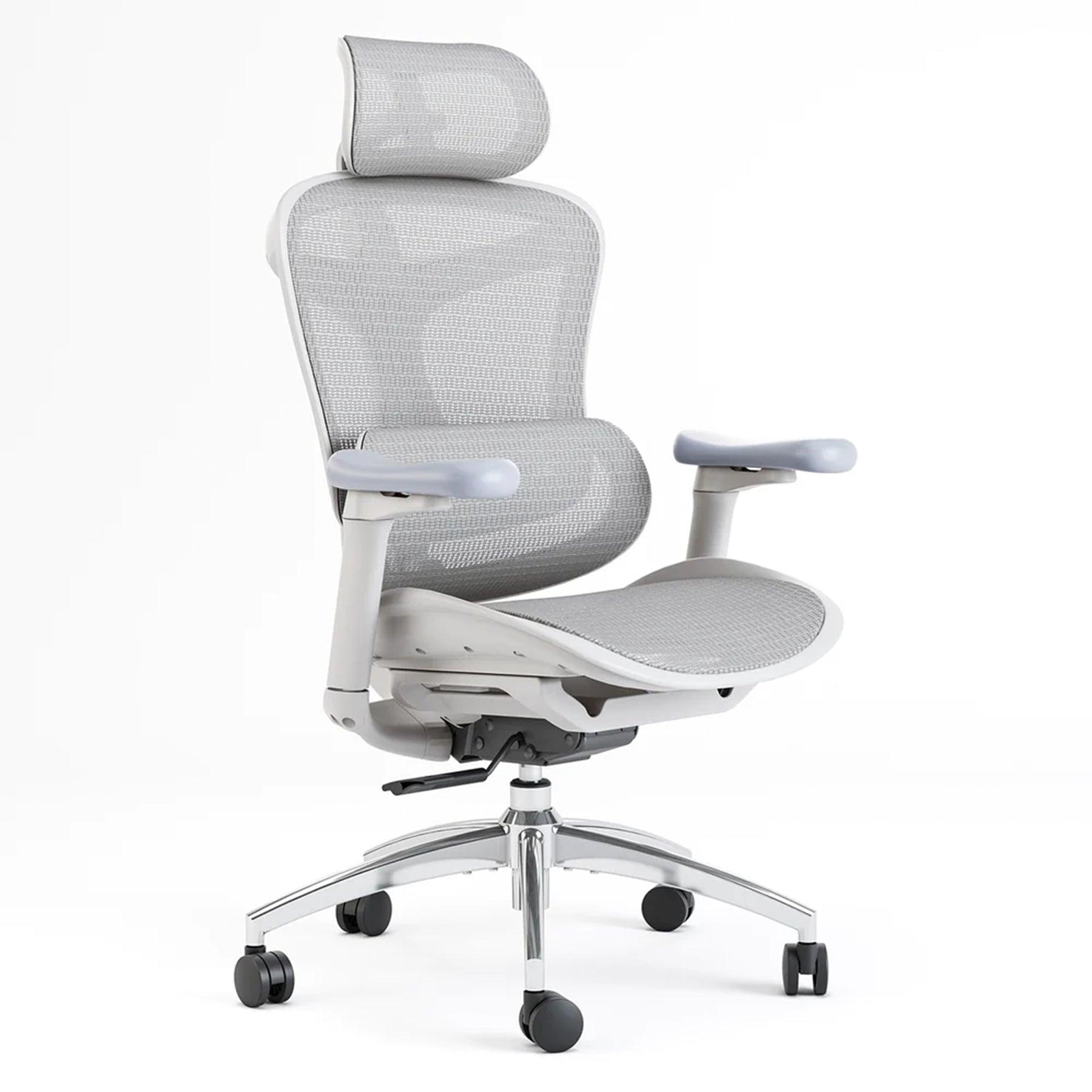 Sihoo Doro C300 Ergonomic Office Chair