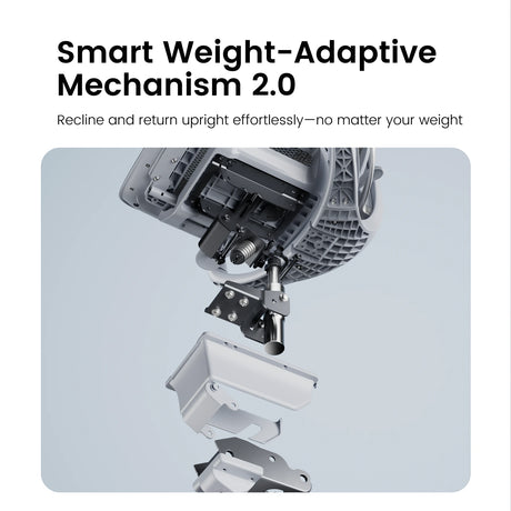 Sihoo Doro C300 Pro V2 Ergonomic Office Chair