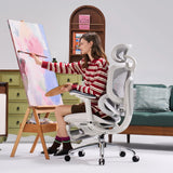 Sihoo Doro C300 Pro V2 Ergonomic Office Chair